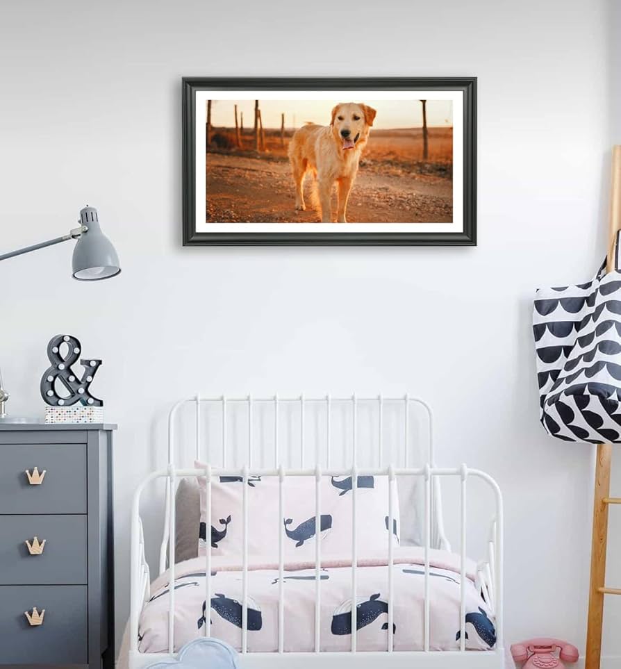フォトフレーム   PICTURE FRAMES 81NZT72Op0L._UF350,350_QL80_.jpg